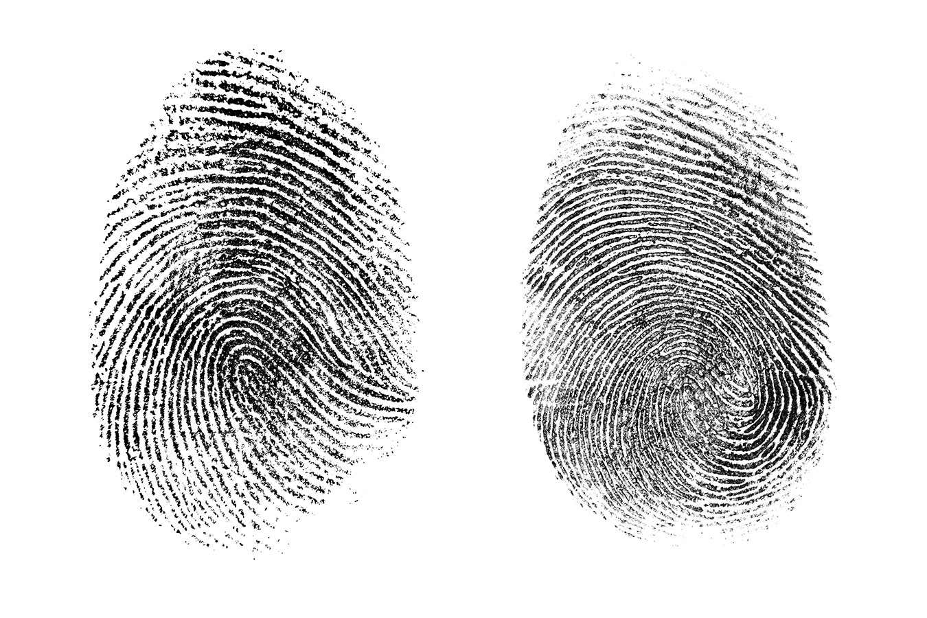 La IA puede saber si las huellas de dos dedos diferentes pertenecen a la misma persona