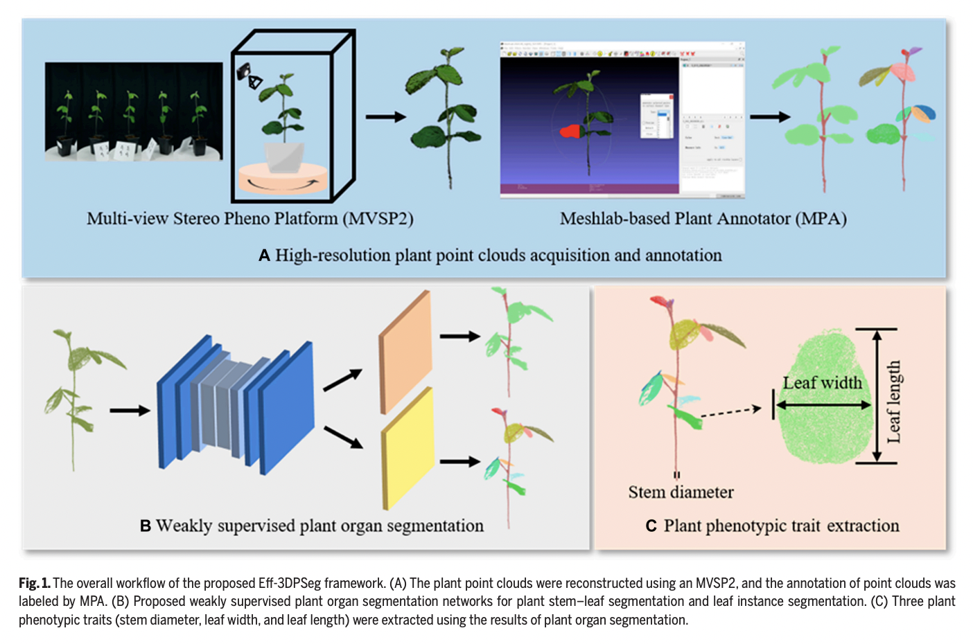 Conozca Eff-3DPSeg: un marco de aprendizaje profundo para la segmentación de brotes de plantas en 3D a nivel de órganos