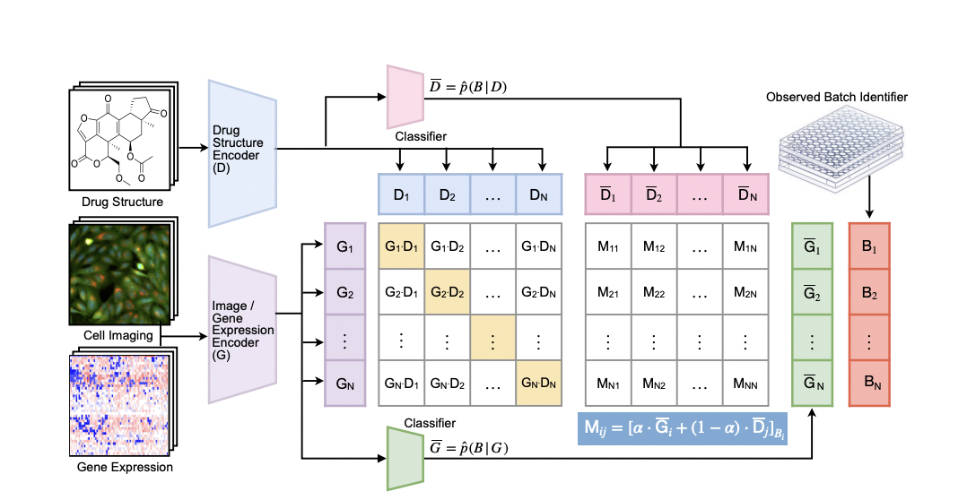 Investigadores del MIT presentan InfoCORE: un enfoque de aprendizaje automático para superar los efectos por lotes en la detección de fármacos de alto rendimiento