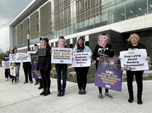 Partidarios de PETA defenderán a los monos en la reunión de la junta directiva de la Universidad de Washington