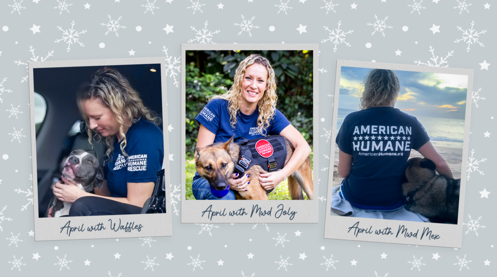 Tails of Triumph: April y Waffles – American Humane