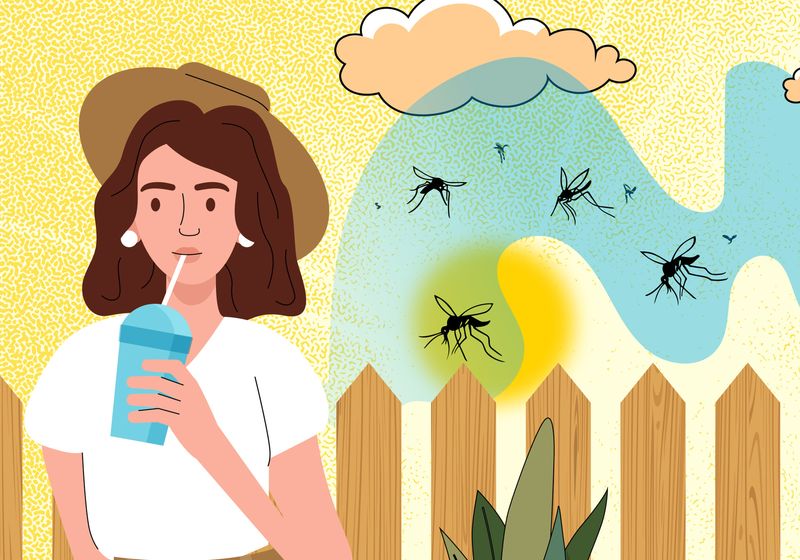 ¿Qué atrae a los mosquitos?  |  Resumen de TS