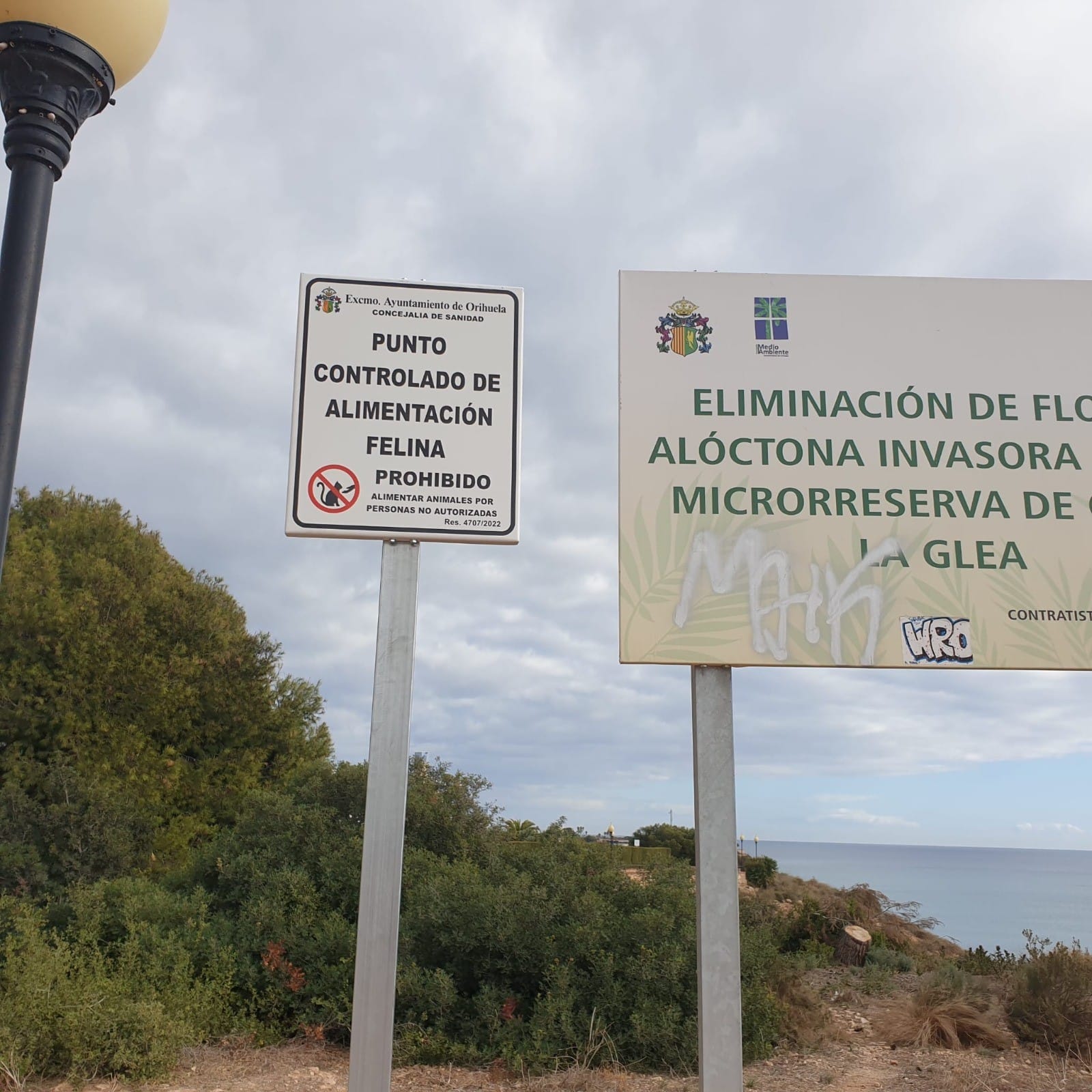Orihuela expide tarjetas de autorización a los ‘comederos de gatos’
