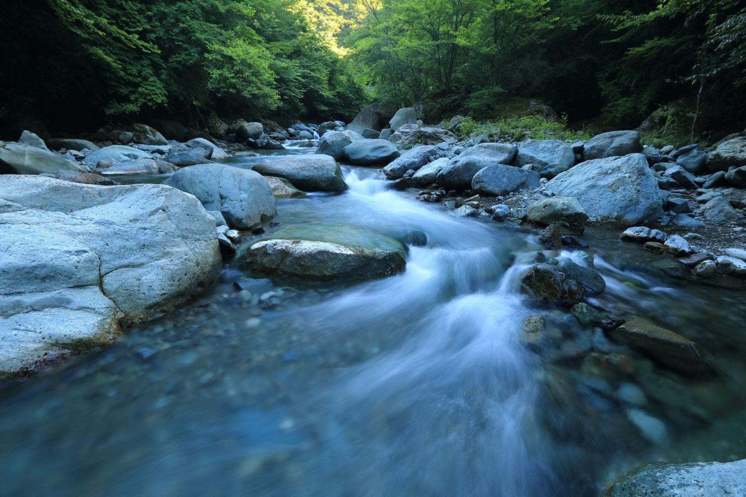 Contaminación del agua en Costa Rica: el uso de la tierra es responsable de dañar el medio ambiente y transformar el agua potable a niveles inseguros [Study]