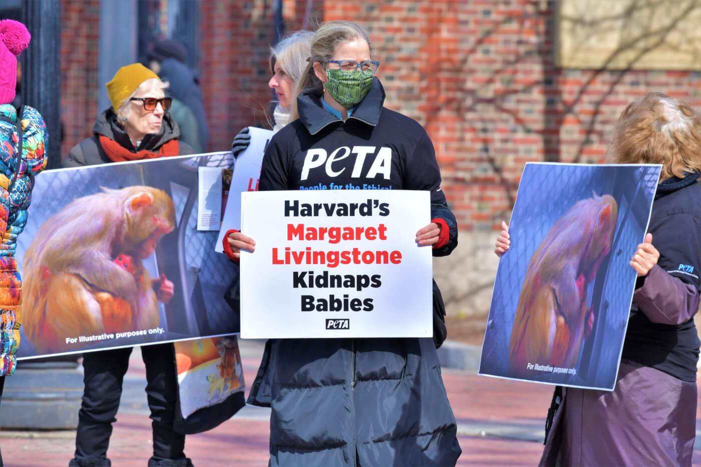 Experimentar con monos bebés y supuestamente falsificar datos: Harvard vuelve a fallar en los aspectos básicos de ética