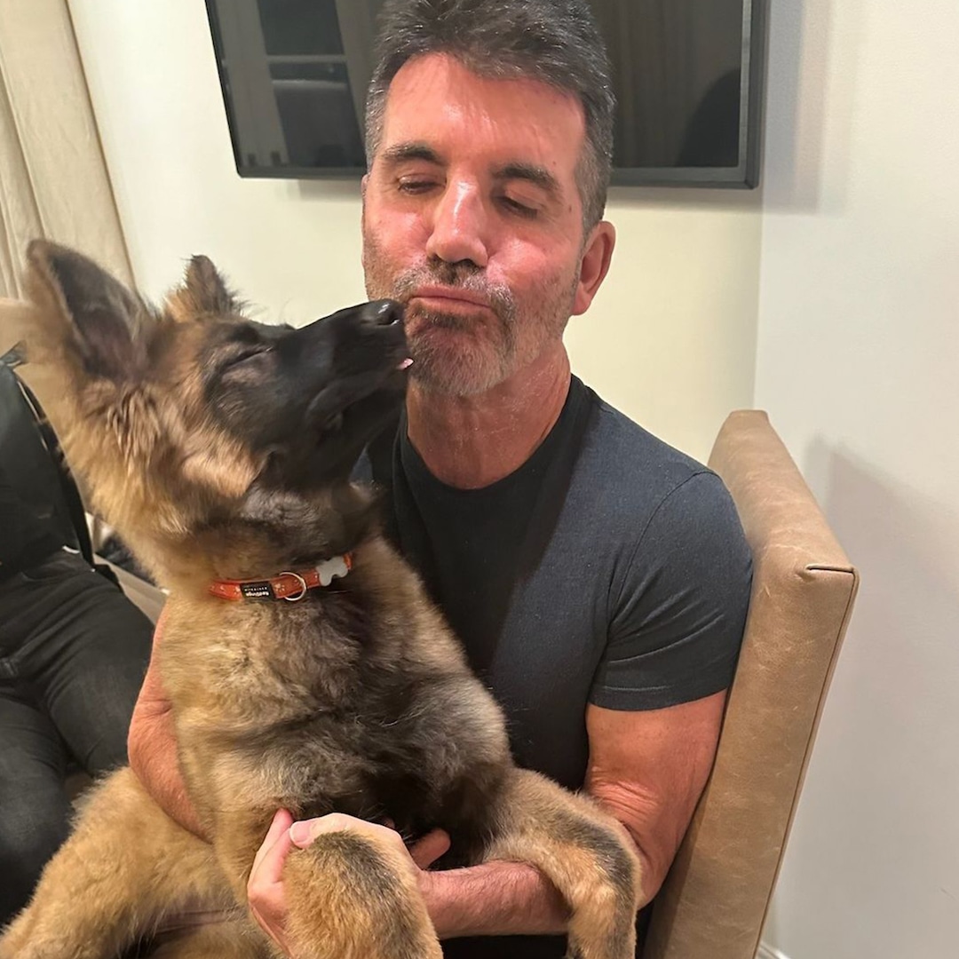 El lindo nuevo miembro de la familia de Simon Cowell tiene talento para los ojos de cachorro