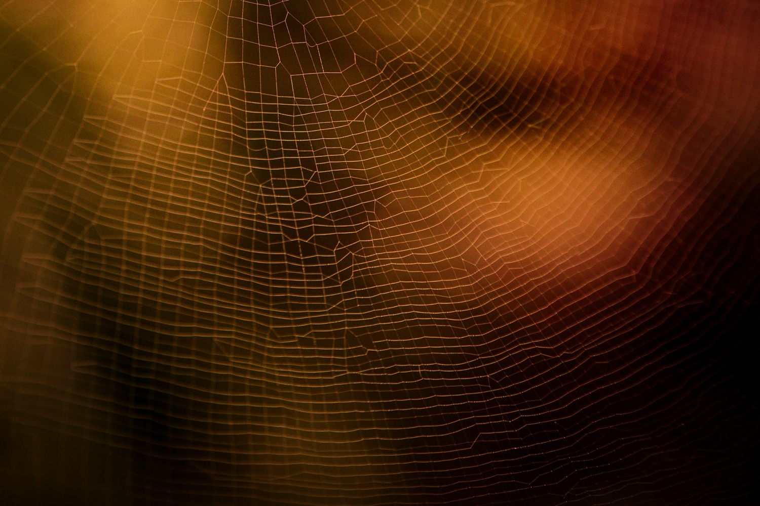 Seda de araña artificial fabricada imitando el proceso de hilado natural