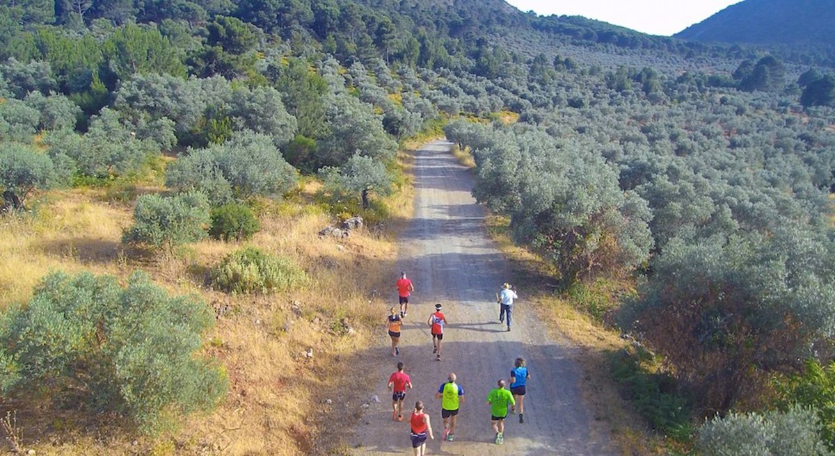 Carrera de montaña en Marbella « Euro Weekly News