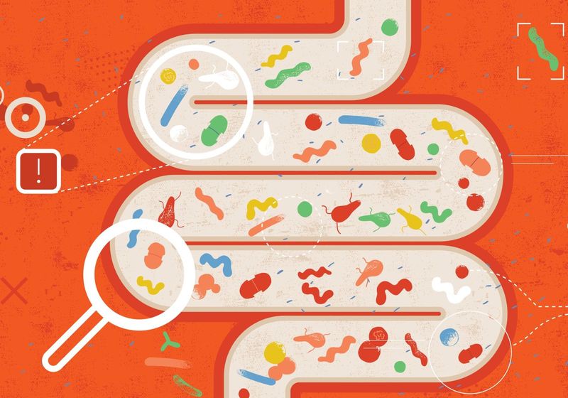 Los seres humanos dependen de las bacterias intestinales para obtener una enzima que previene la ictericia