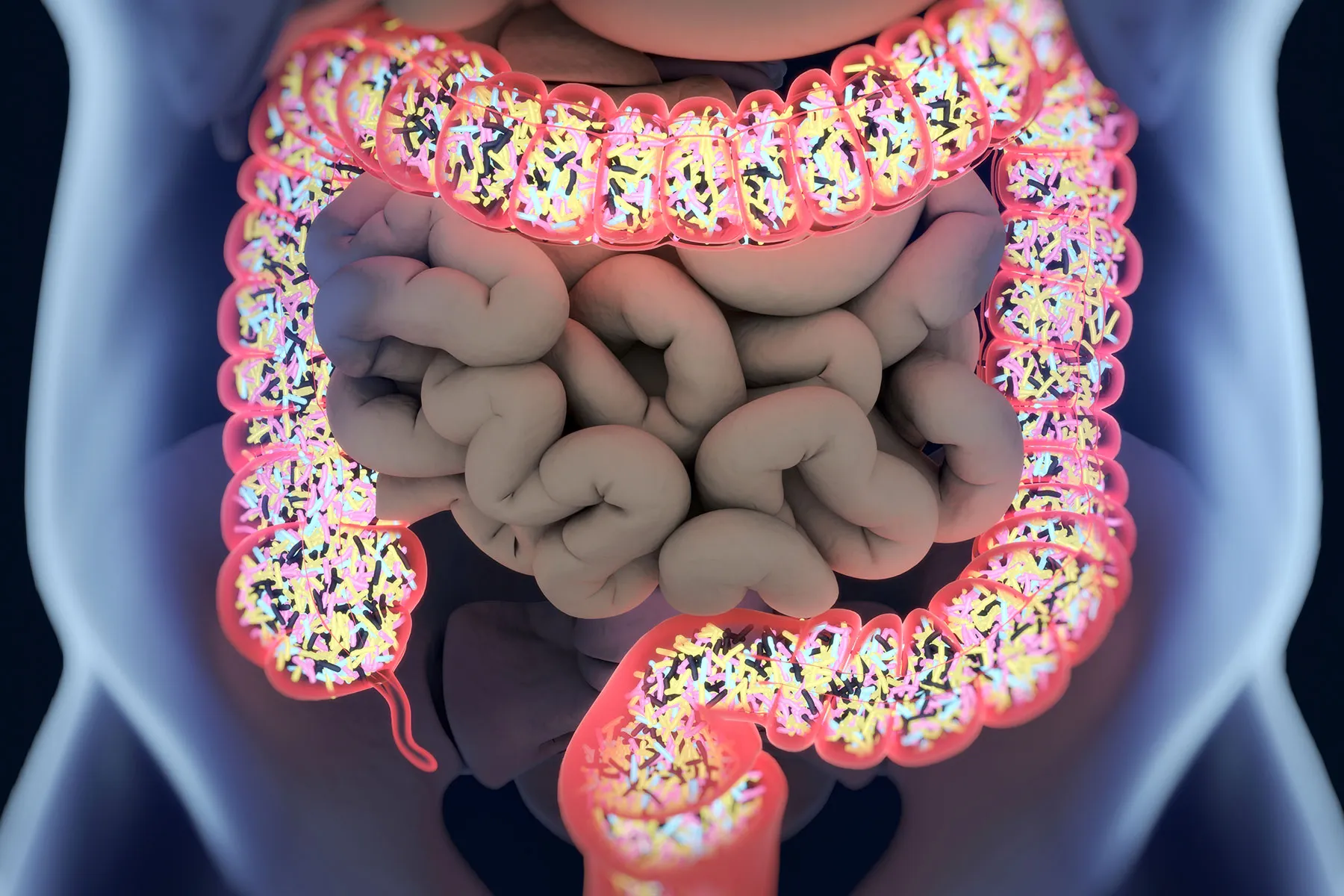 Centrarse en la salud intestinal puede ayudar a perder peso