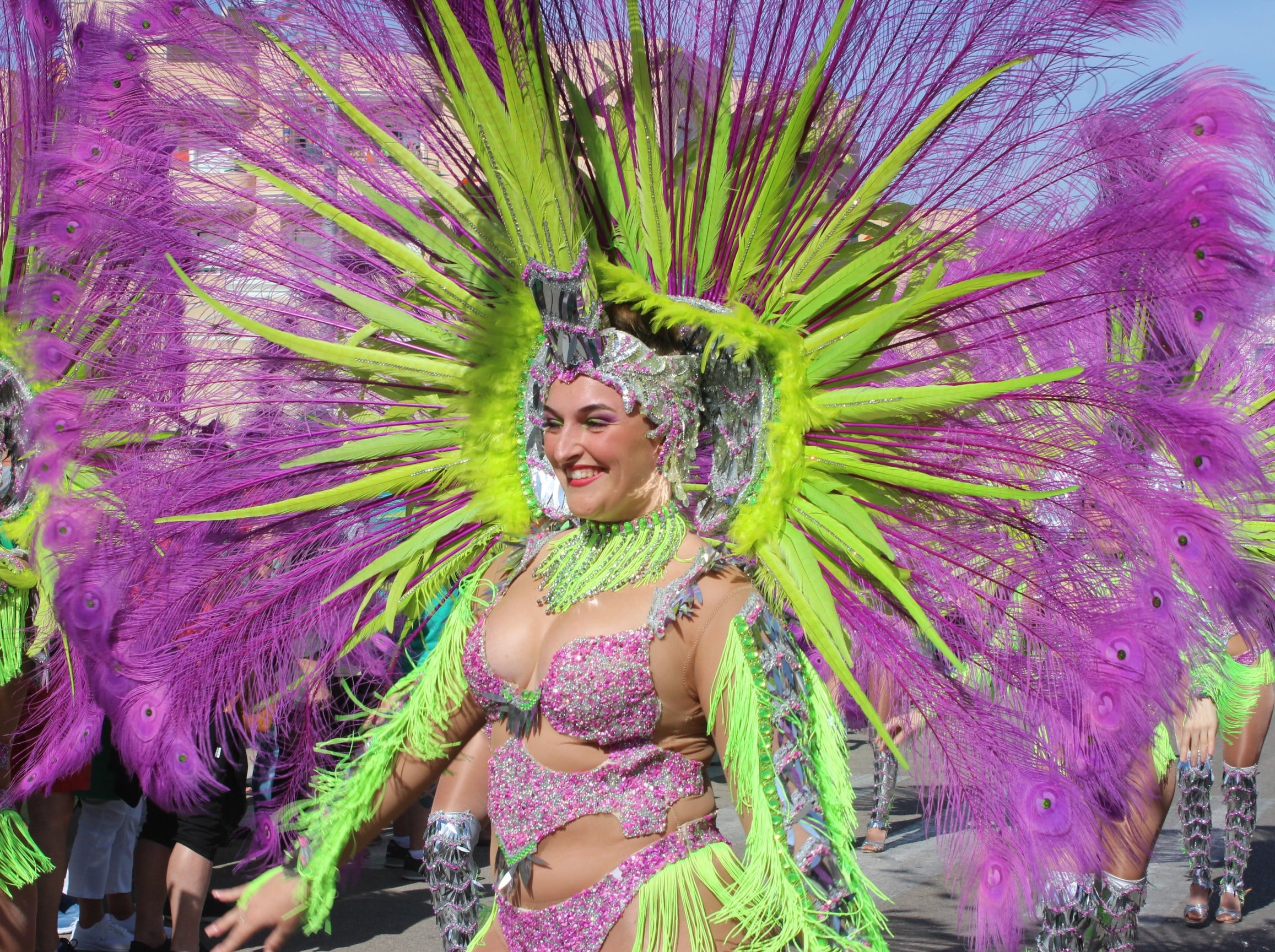 La comisión de fiestas de Orihuela Costa busca patrocinadores para su Carnaval