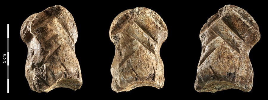 ¿Podrían los neandertales hacer arte?  |  Científico americano