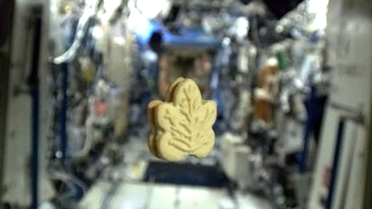 Los astronautas de Artemis 2 Moon disfrutarán de galletas de crema de arce y salmón ahumado gracias a Canadá