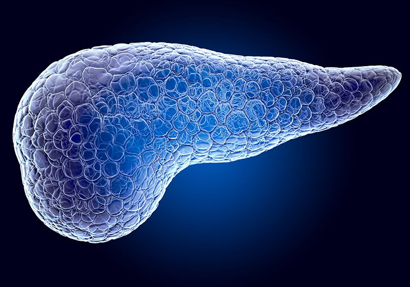 Avances hacia la terapia celular para la diabetes