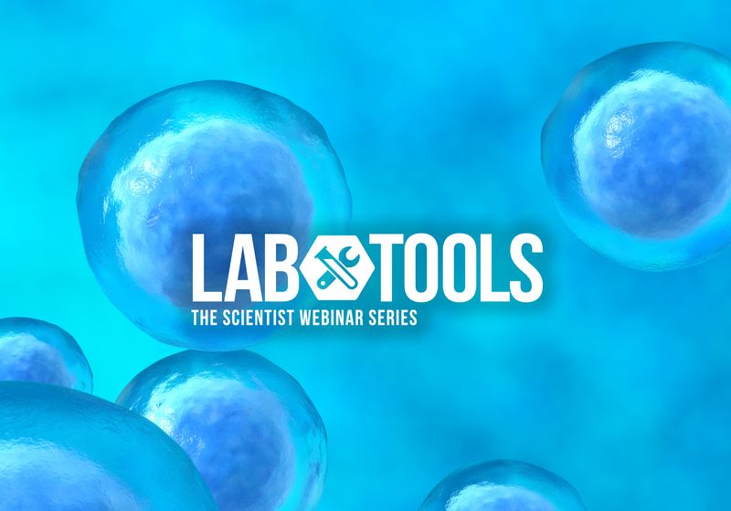 Creación de una diversidad más amplia de células B para un mejor descubrimiento de anticuerpos monoclonales