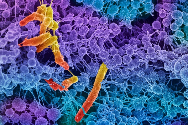 Extraños ‘obeliscos’ encontrados en el intestino humano pueden ser una entidad similar a un virus