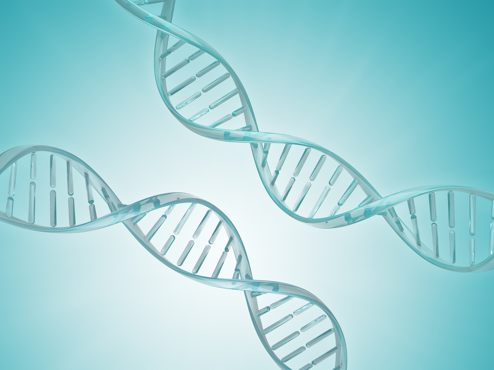 ¿Podrías ser una quimera humana?  Cuando una persona tiene dos conjuntos de ADN