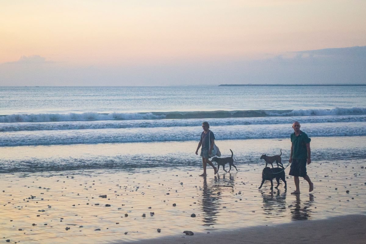 Playa para perros y más desde Mojácar « Euro Weekly News