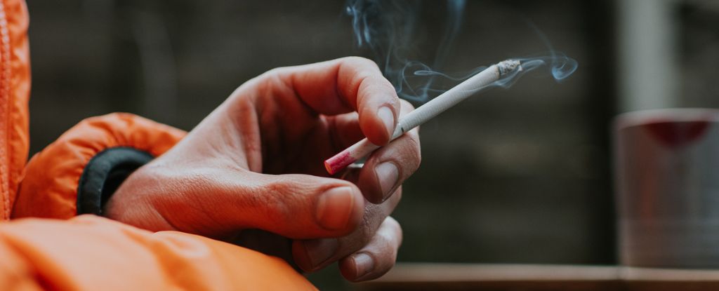 Los científicos revelan lo que sucede con su esperanza de vida cuando deja de fumar: ScienceAlert