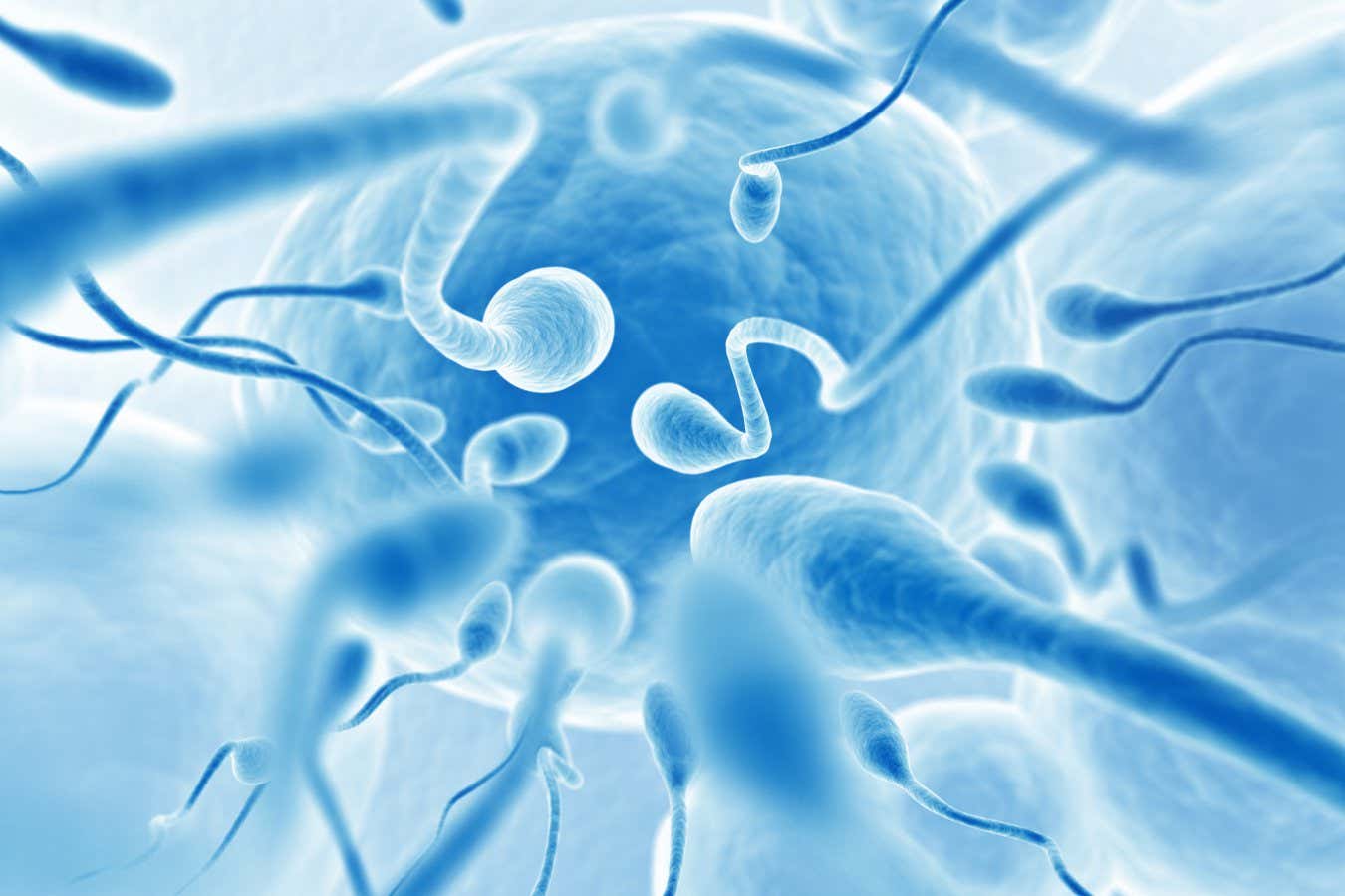 Los familiares de hombres con problemas de fertilidad pueden tener mayor riesgo de cáncer