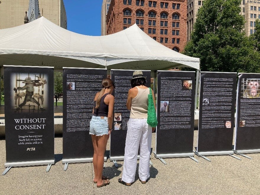 Exposición de PETA que expone la historia de la cruel experimentación con animales llega al barrio West End de Nashville