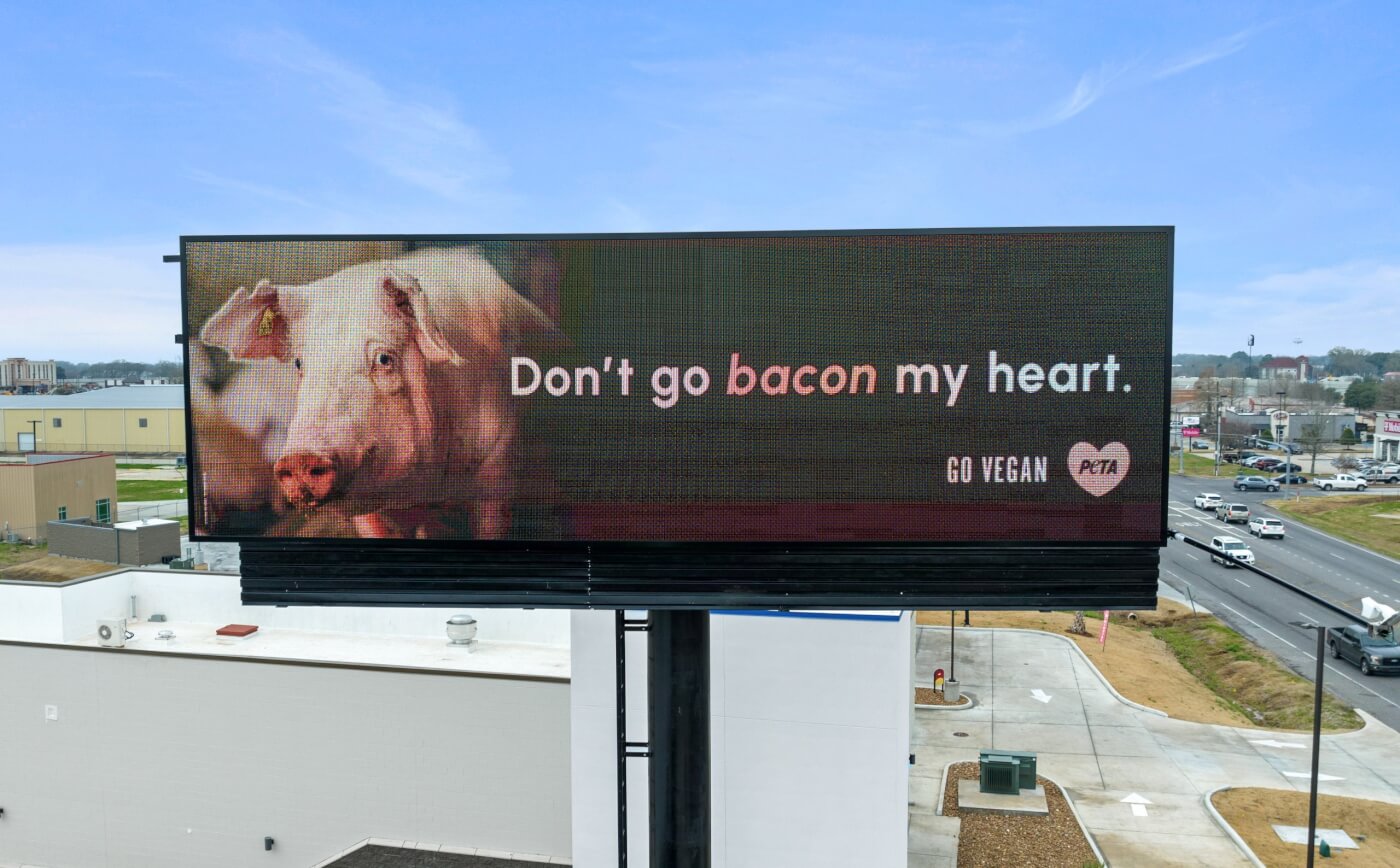 Bacon My Heart Broussard Scaled.jpg