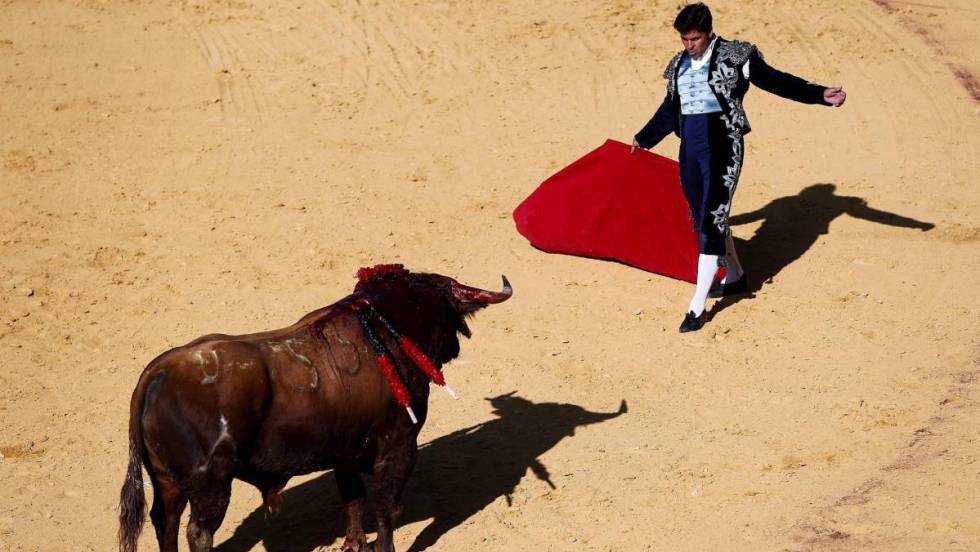 Revelado: Las capitales taurinas de Andalucía, España, que albergaron más de 600 eventos el año pasado