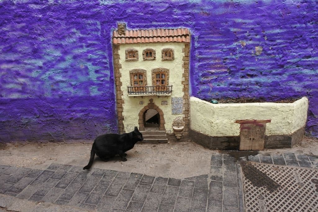 Felino en casa: visita la adorable ‘mansión de los gatos’ en la Valencia española