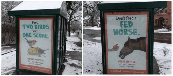 Alimenta a dos pájaros con un bollo: PETA impulsa modismos amigables con los animales en el bombardeo de los refugios de autobuses de Syracuse