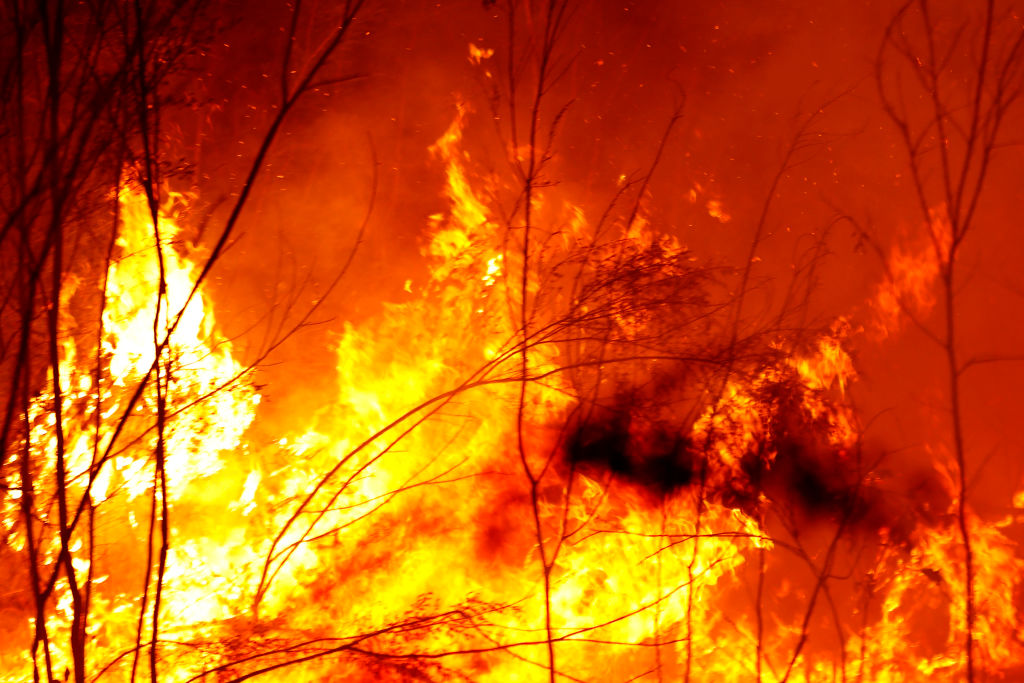 Más de 2.000 personas evacuadas tras incendios forestales masivos en el oeste de Victoria