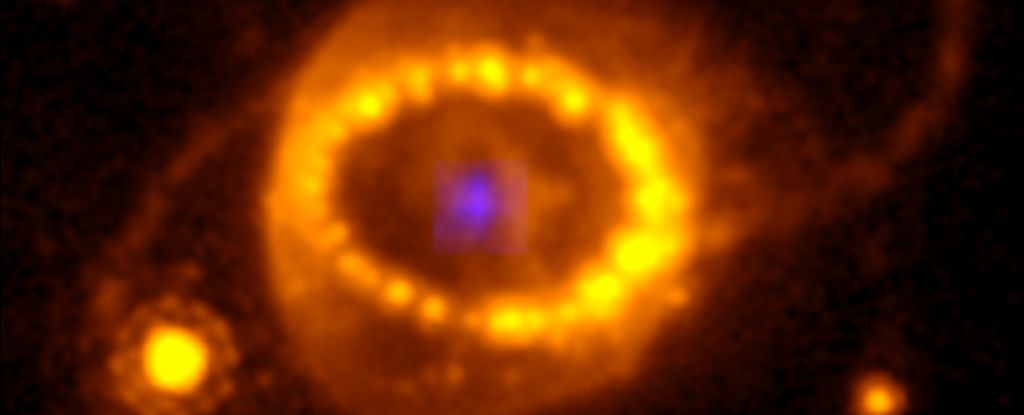 En 1987, vimos explotar una estrella.  JWST finalmente encontró evidencia de sus restos.  : Alerta científica