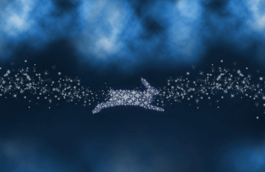 29 formas rápidas y sencillas de ayudar a los animales en el día bisiesto