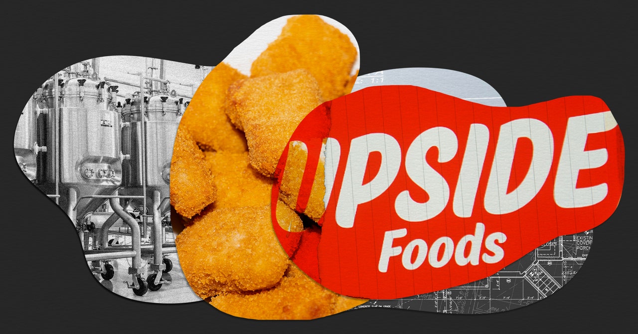 Upside Foods, empresa líder en carne cultivada en laboratorio, acaba de detener una importante expansión