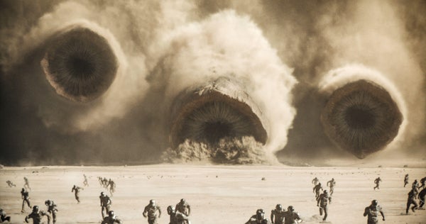 Conozca las versiones de la vida real de los épicos gusanos de arena de Dune