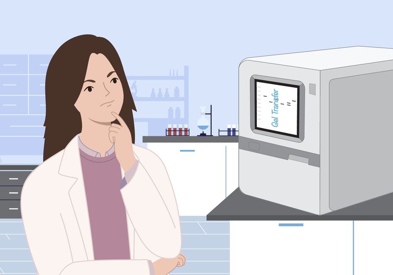 El misterioso mensaje del Western Blot |  Resumen de TS