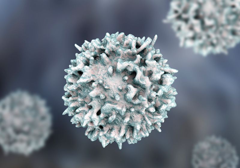 Una búsqueda del Santo Grial de los objetivos del cáncer