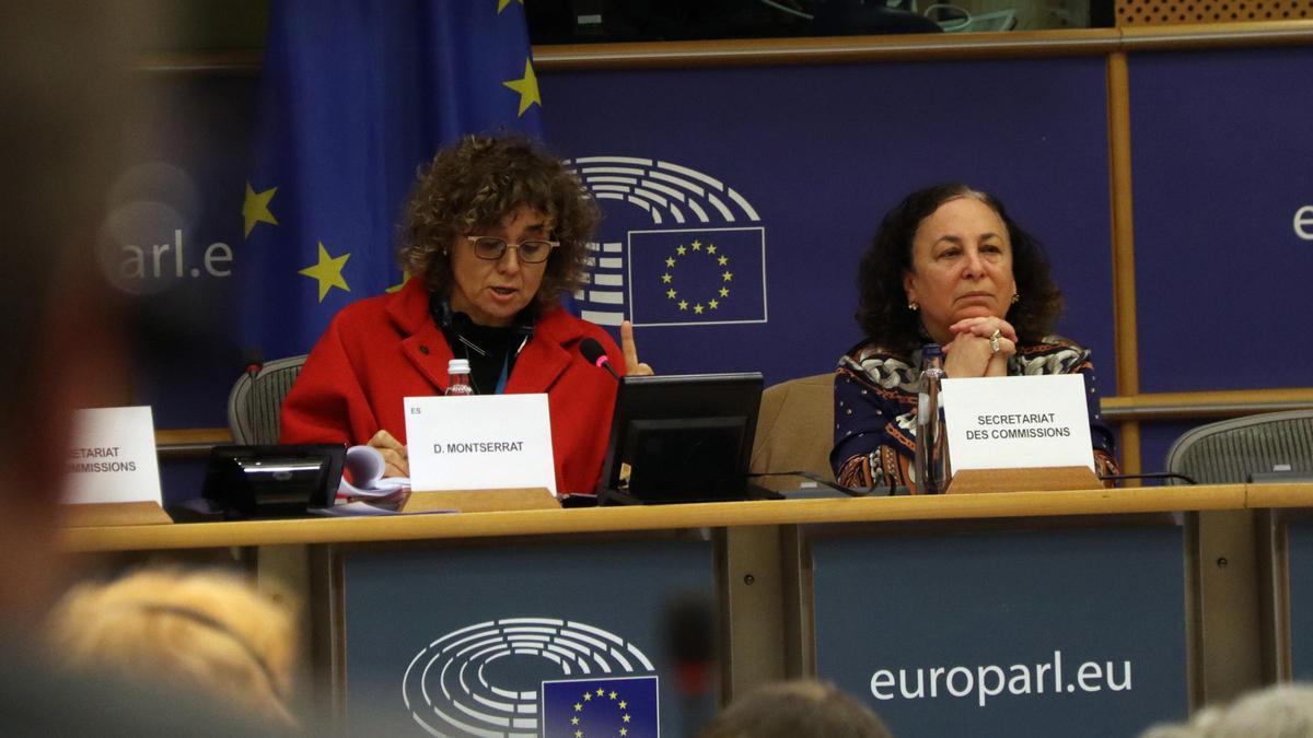 Una comisión del Parlamento Europeo pide igualdad de trato para castellano y catalán en la escuela