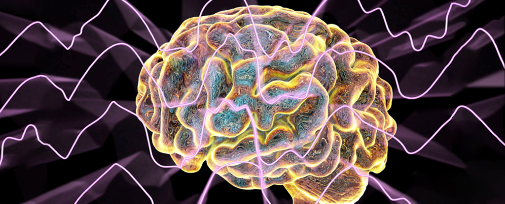 Las ondas cerebrales se mueven en direcciones opuestas para memorizar y recordar: ScienceAlert