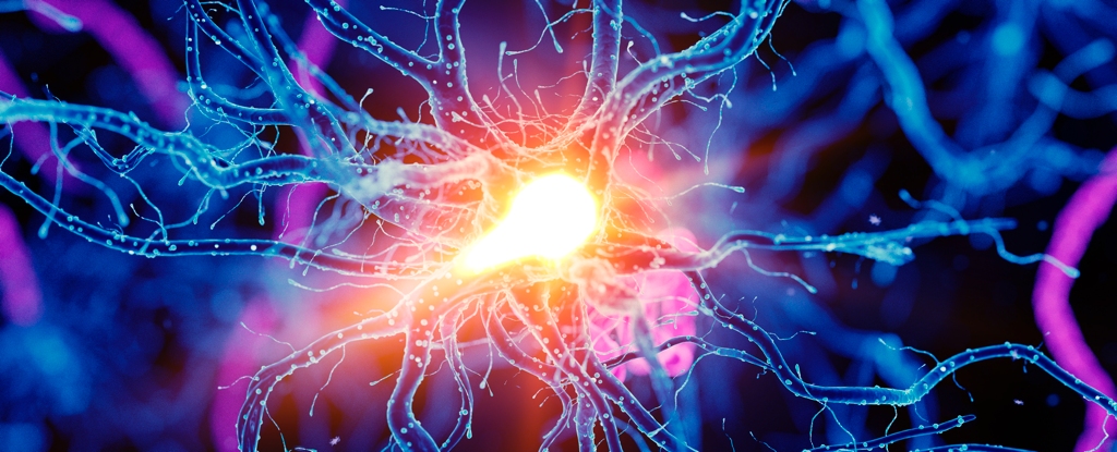 El autismo puede mejorar el rendimiento cognitivo y es posible que finalmente sepamos por qué: ScienceAlert