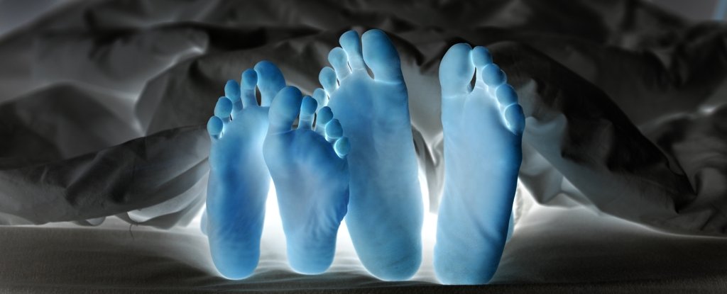 Mucha gente muere cada año durante o después del sexo.  Un experto explica por qué.  : Alerta científica