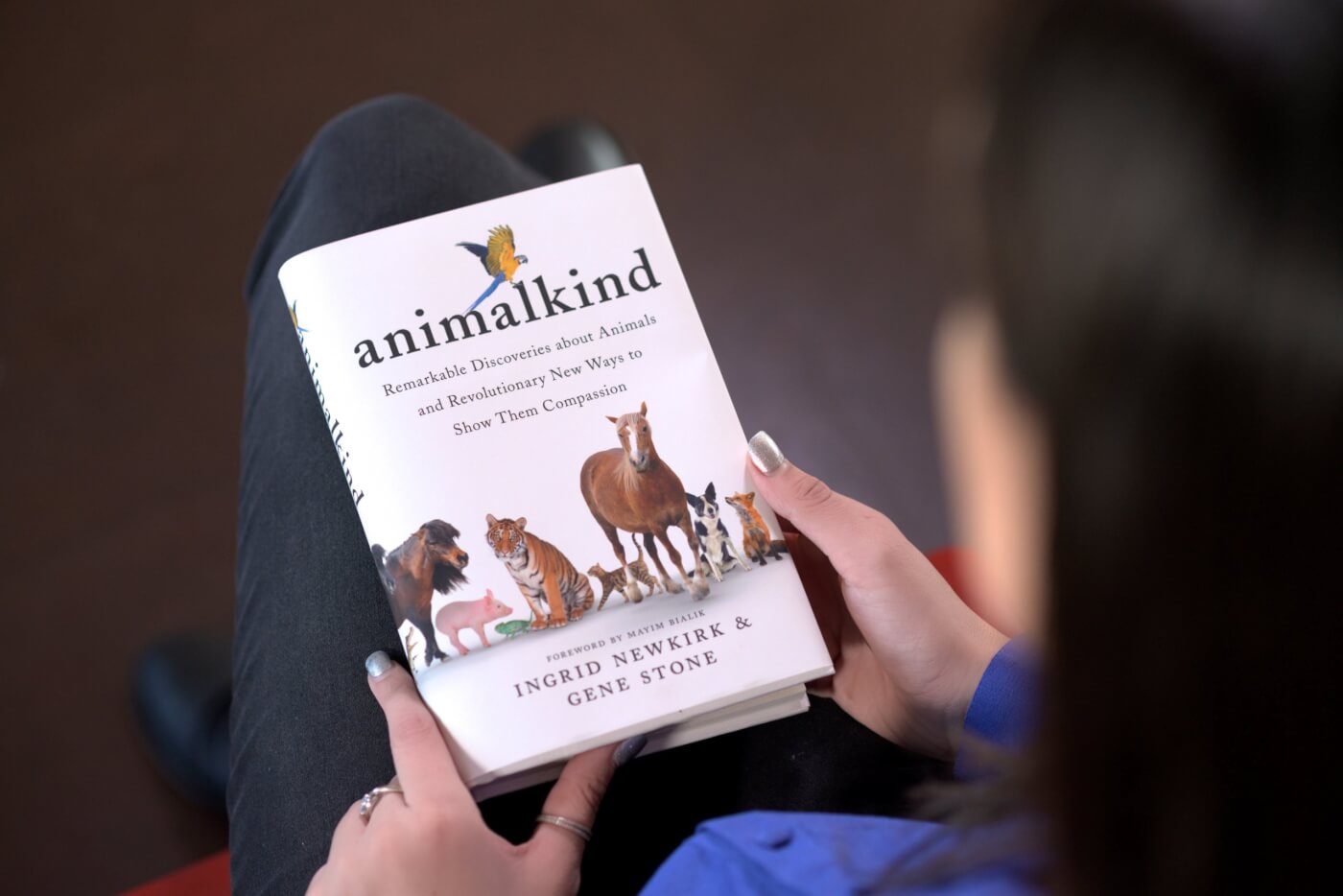 Los animales son personas: aprenda por qué en ‘Animalkind’