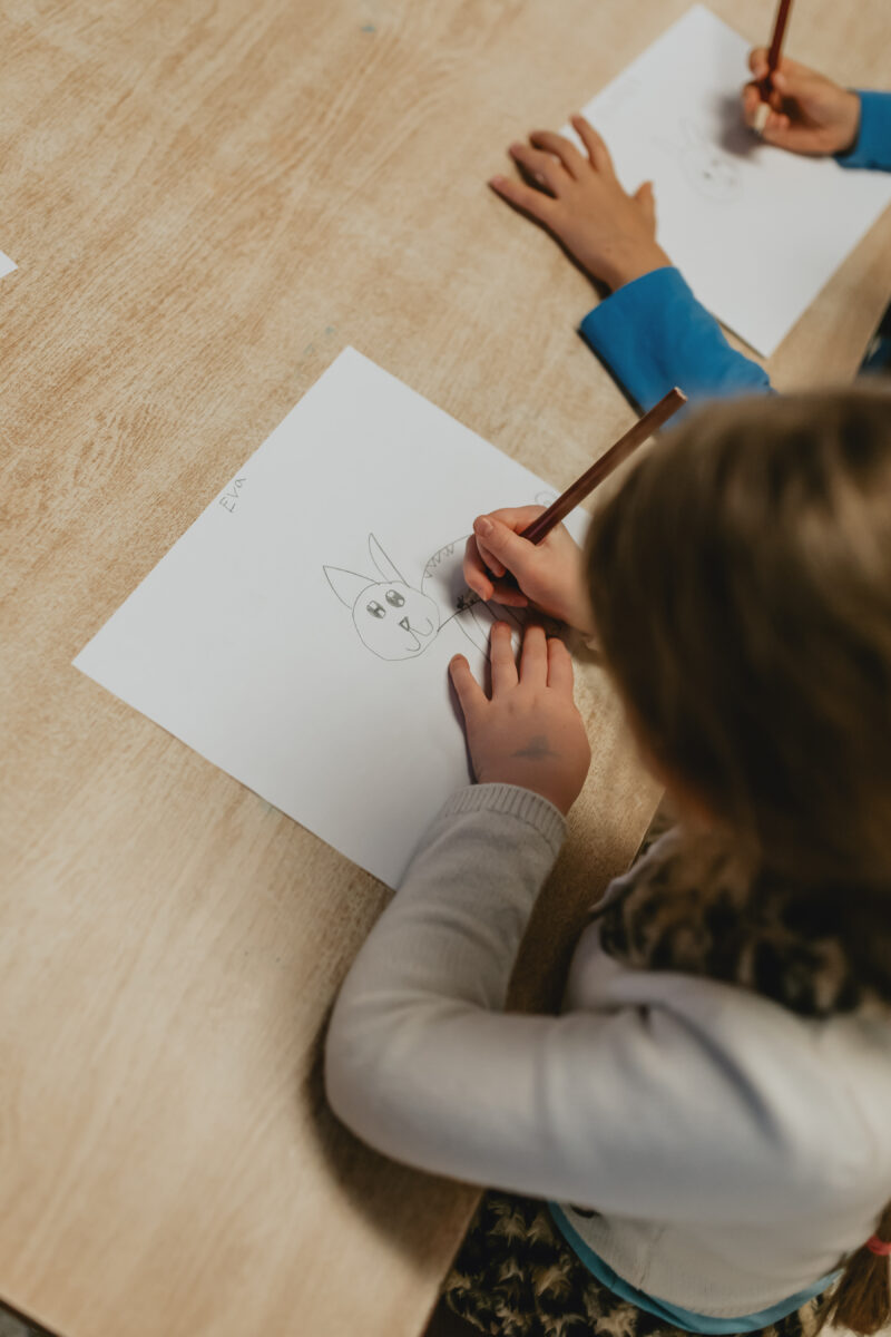 Cómo se comunican los animales con nosotros y por qué es importante escucharlos