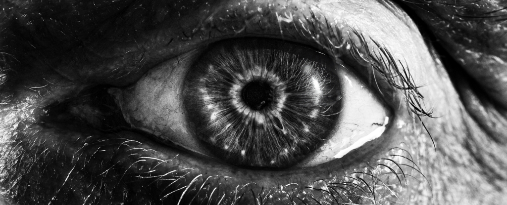 Los expertos revelan lo que realmente sucede cuando se realiza una cirugía de cataratas: ScienceAlert