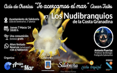 Charla sobre Nudibranquios |  Noticias Gaceta Costa Tropical