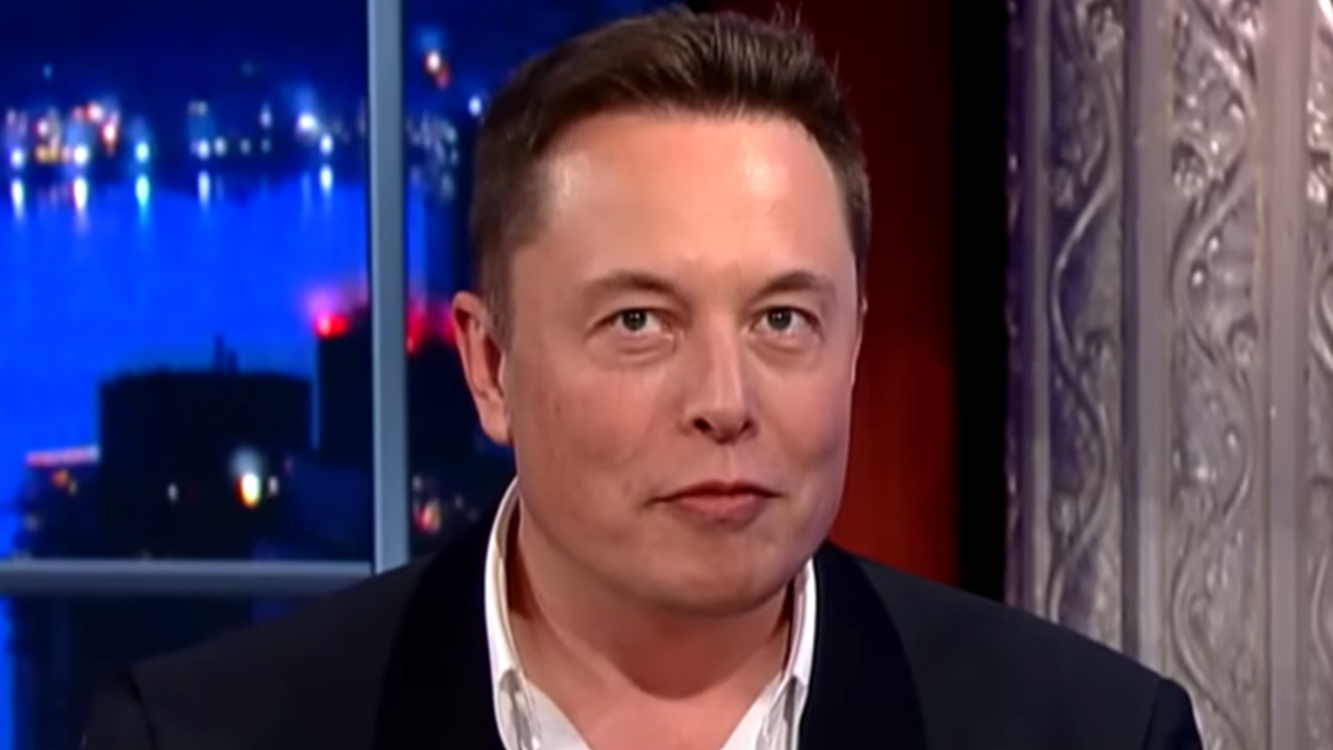 Elon Musk: Si los demócratas ganan en 2024, concederán amnistía a los extranjeros ilegales y crearán un ‘Estado socialista permanente’