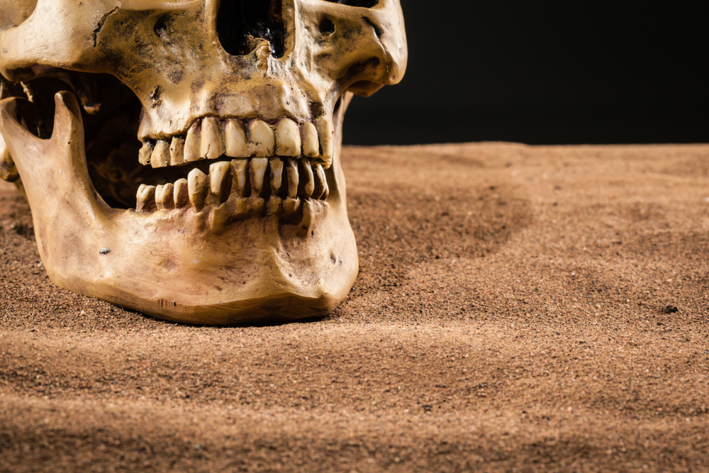 Dientes de la Edad de Bronce de 4.000 años registran los cambios en la dieta humana a lo largo del tiempo