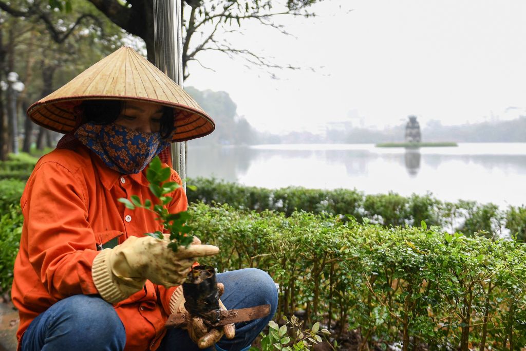 Jardinería estacional: los mejores consejos para cuidar cultivos y plantas