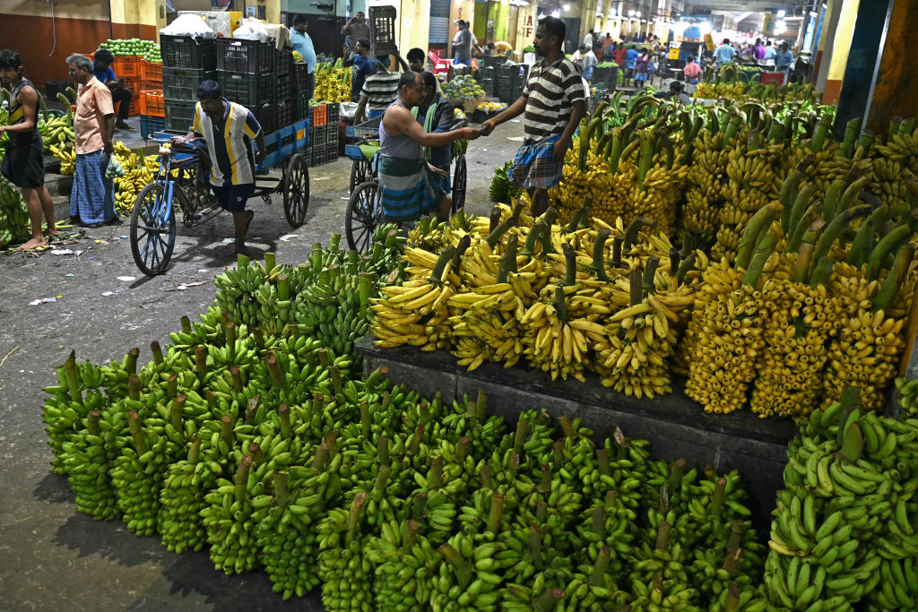 Es probable que el precio mundial del plátano aumente debido al cambio climático, dicen expertos de la industria