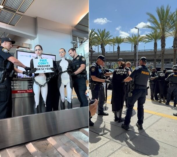 VIDEO: La policía arrastra a un manifestante de SeaWorld de 52 años, encadenado y con el cuerpo pintado, desde el área de reclamo de equipaje del aeropuerto
