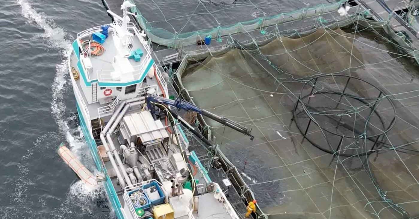 Igualdad Animal lucha por la pesca de piscifactoría